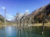 四姑娘山风景区