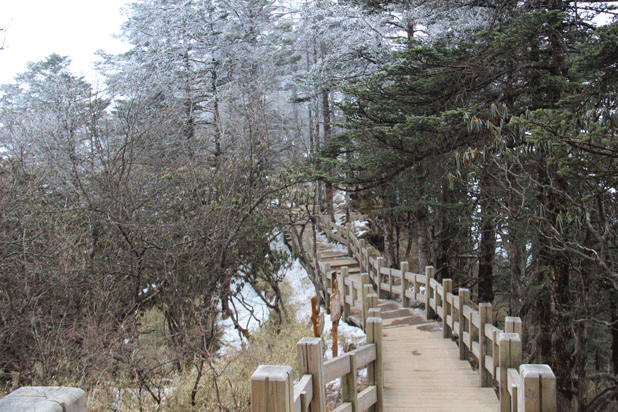 西岭雪山栈道