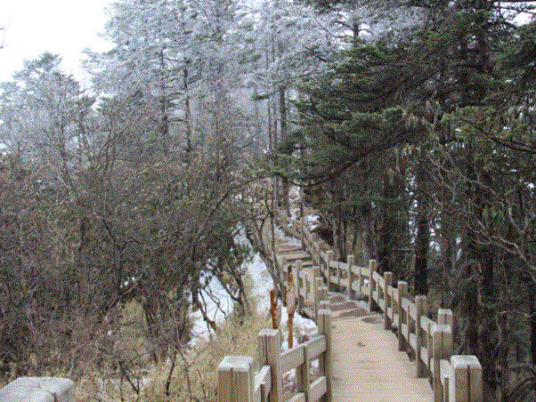 西岭雪山栈道