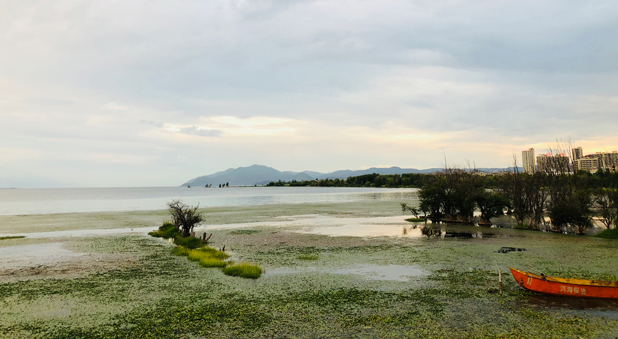 云南洱海01.jpg